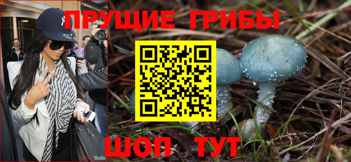 Псилоцибиновые грибы Psilocybe  Вход с VPN  Псилоцибиновые грибы прущие грибы  Жуковский 