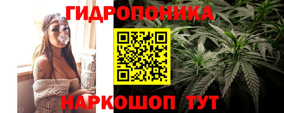 Жуковский  Каннабис VHQ  Вход с VPN  Бошки Шишки план 